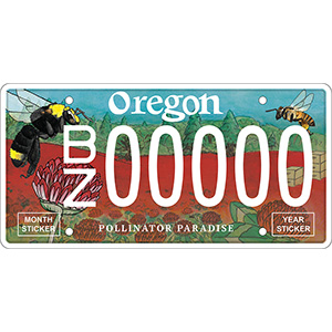 License plate for Oregon Bee Project